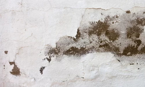 damaged-white-wall-texture-scaled